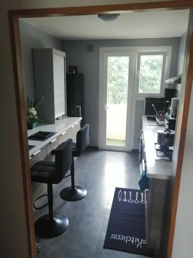 Chambre Dans Appartement A Νιόρ Εξωτερικό φωτογραφία